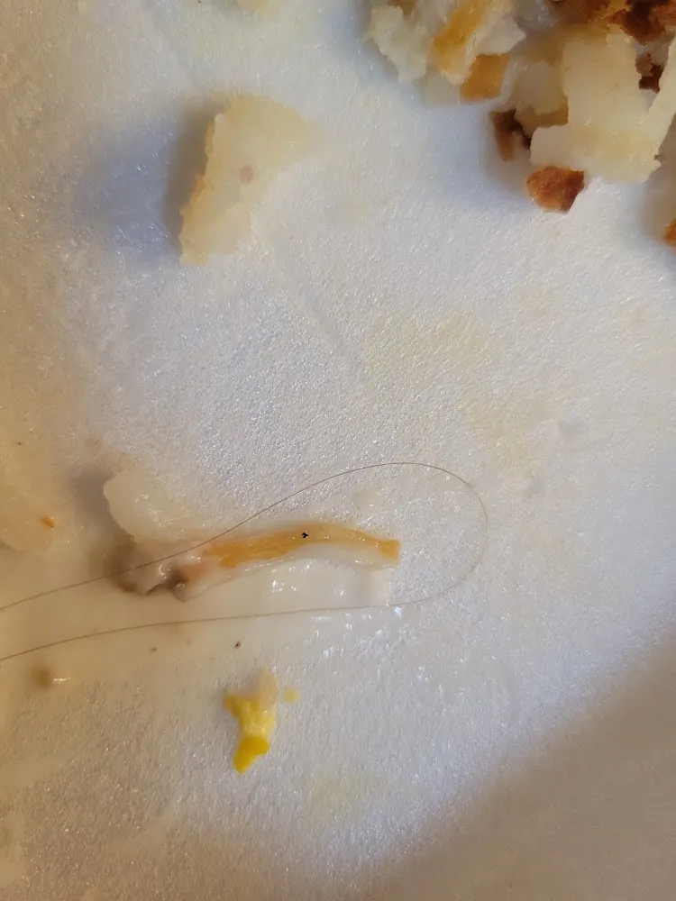 No Explanation Needed